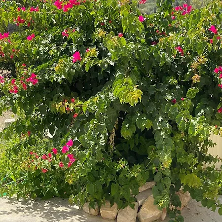 Sappir House Villa Pigadhákia Dış mekan fotoğraf