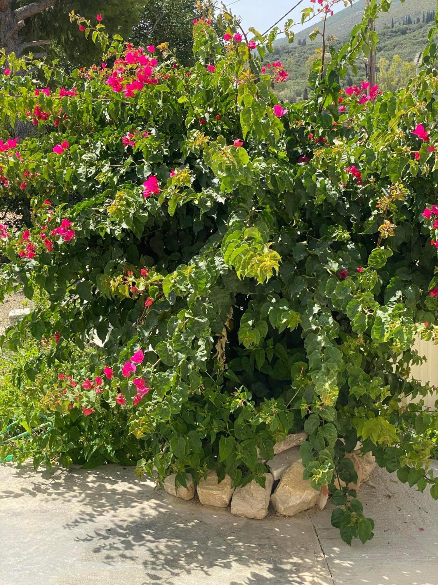 Holiday home Sappir House Pigadhakia